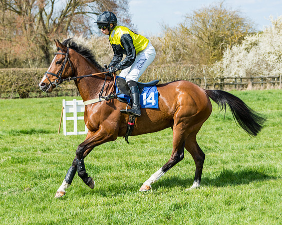 Race 3 -The Richardsons Accountants Conditions Race for Novice Riders  (52 of 154)
