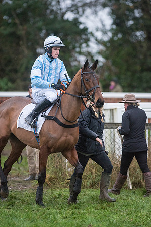 Race 8 - Young Horse Maiden  (26 of 85).jpg