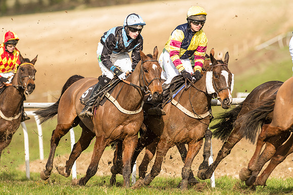 Race 3 - Kent Grand National (39 of 76).jpg