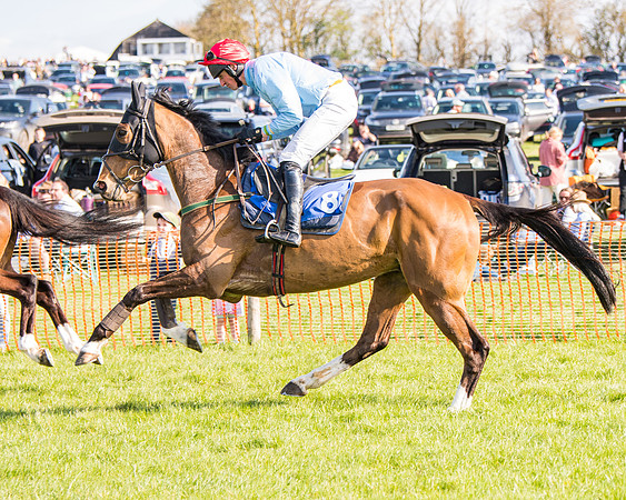 Race 5 - The Waverton Investment Management Ltd Restricted Race farmers and subscribers Race  (19 of 161)