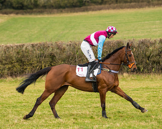 Race 3 - Restricted  (11 of 100)