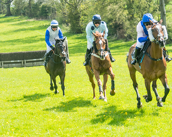 Race 2 - Veteran Horse  (36 of 82)