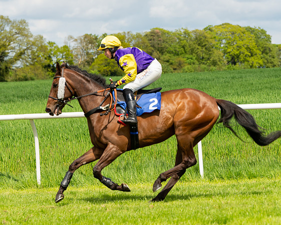 Race 1 - The Condiitions race (22 of 123)