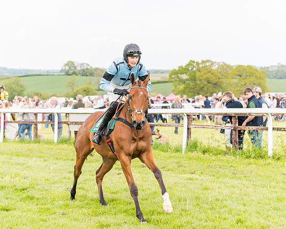 Race 6 = Maiden (52 of 187)