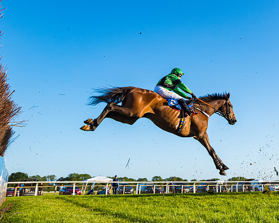 Race 5 - Whitw Swan Handicap (21 of 67)