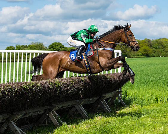 Race 3 - The Ladies open (50 of 104)