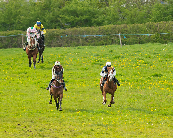 Race 5 - Open Maiden  (30 of 89)