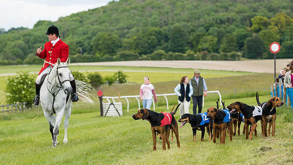 Hound Race  (44 of 49)