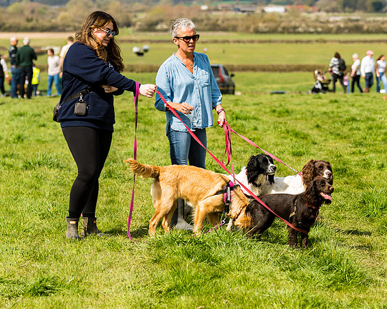 Dog show etc (36 of 157)