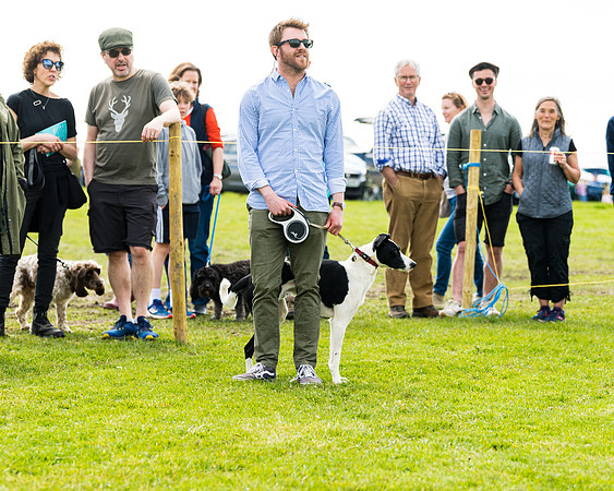 Dog show etc (43 of 157)