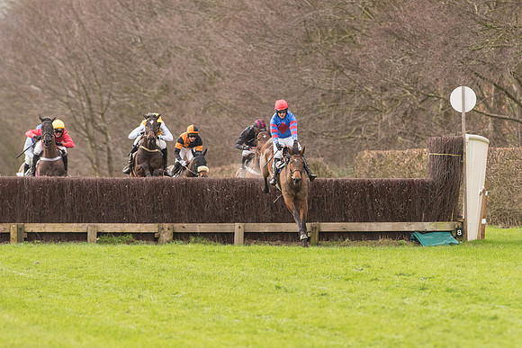 Race 2 - Young Horse Maiden (62 of 110).jpg