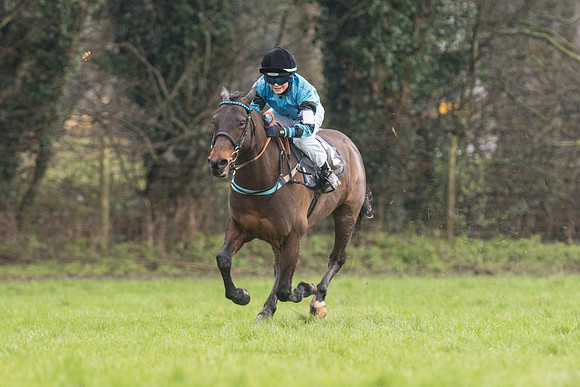 Pony Race 2 -  (2 of 17).jpg
