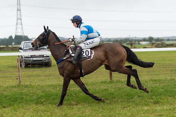 Race 6 - Open Maiden Race Div 2  (10 of 118).jpg