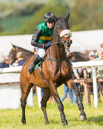 Race 5 - Restricted  (36 of 164)