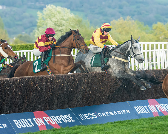 Race 5 - Mares Open  (101 of 329)