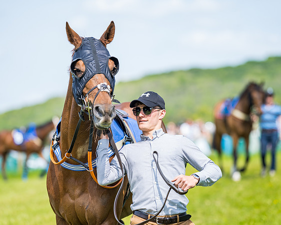 Race 2 - PPORA Novice Riders (70 of 444)