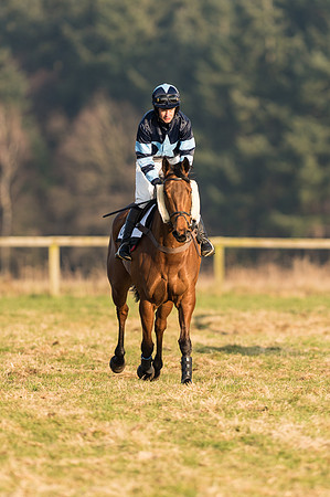 Race 6 - Open Maiden Div 1 (5 of 83).jpg