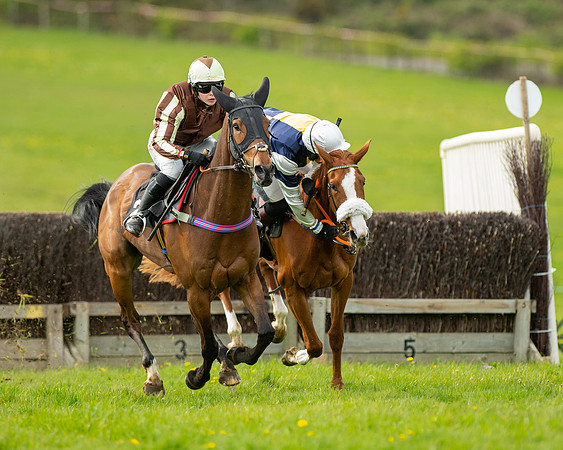 Race 5 - Open Maiden  (44 of 89)
