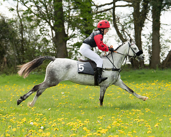 Ponies and Side saddle (28 of 69)