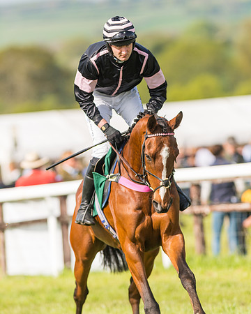 Race 5 - Restricted  (14 of 164)