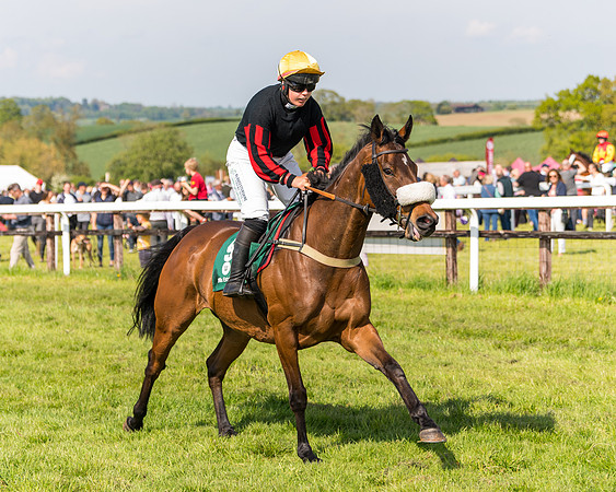 Race 4 - PPORA Novice Riders  (29 of 203)