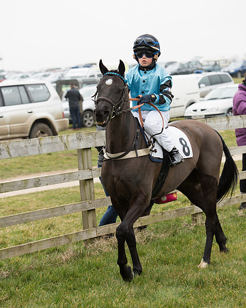 Bicester Ponies-57.jpg