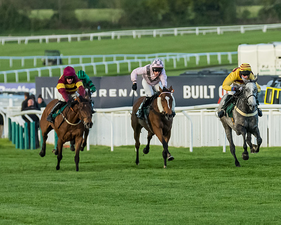 Race 5 - Mares Open  (112 of 329)