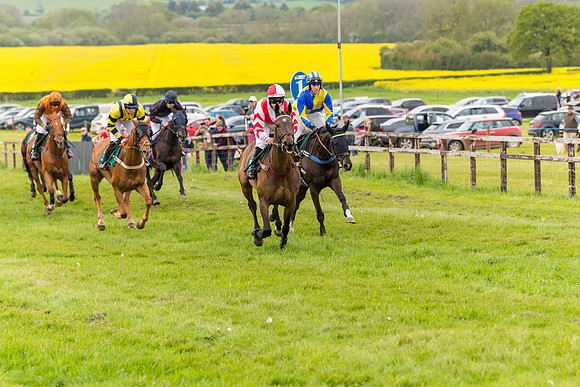 Race 7 - Veteran Horse conditions (104 of 244)