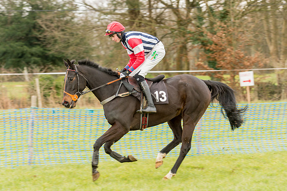 Race 2 - Novice and Veterans   (20 of 101).jpg