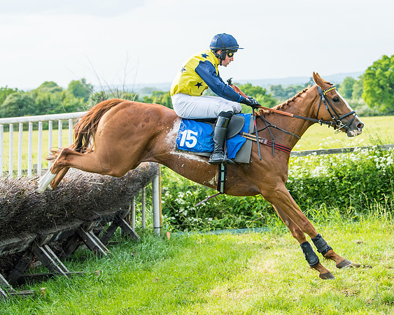 Race 6 - Open Maiden (251 of 346)