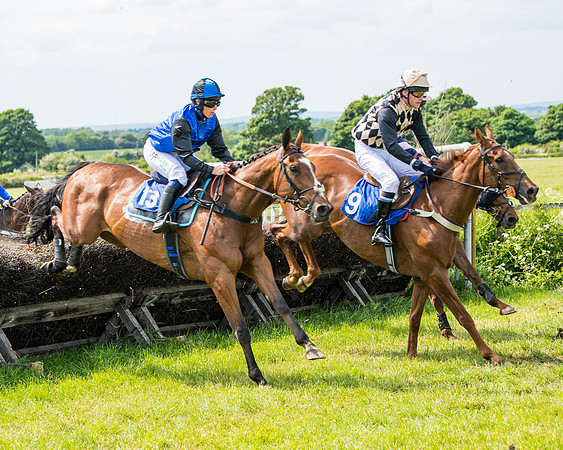Race 2 - PPORA Novice Riders (240 of 444)