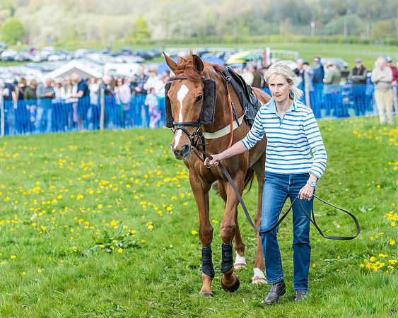Race 2 - Veteran Horse  (8 of 82)