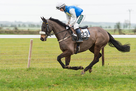 Race 6 - Open Maiden Race Div 2  (34 of 118).jpg