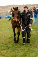 Race 1 - Div 1 - Young Horse Maiden (10 of 90).jpg