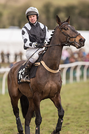 Race 6 - The Open Maiden (17 of 100).jpg