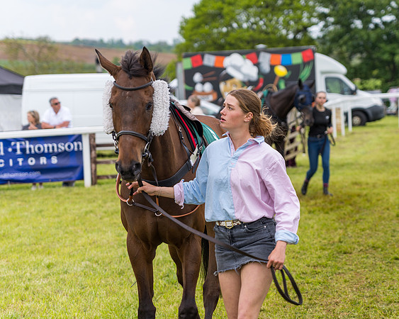 Race 7 - Veteran Horse conditions (7 of 244)