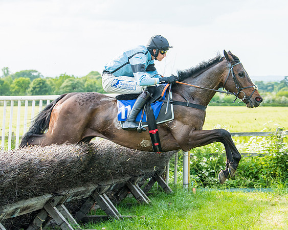 Race 6 - Open Maiden (198 of 346)
