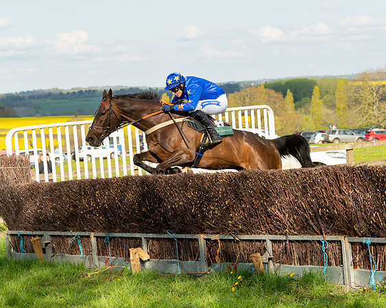 Race 7 - Maiden  (62 of 113)