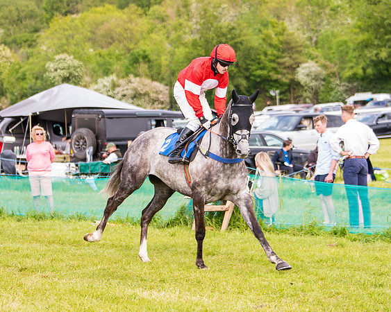 Race 6 - Open Maiden (82 of 346)