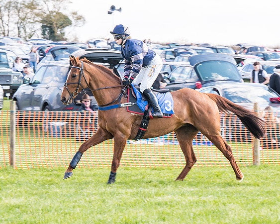Race 4 - The Warehouse Reit Mixed Open Race  (21 of 124)