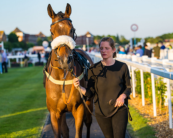 Race 7 - ITM NH Flat Race (8 of 197)
