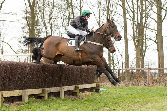 Race 2 - PPORA Novice riders  (90 of 186).jpg