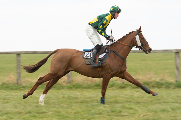 Race 2 - PPORA Novice riders  (18 of 186).jpg