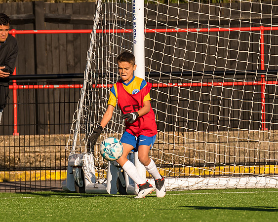 Under 12s --220