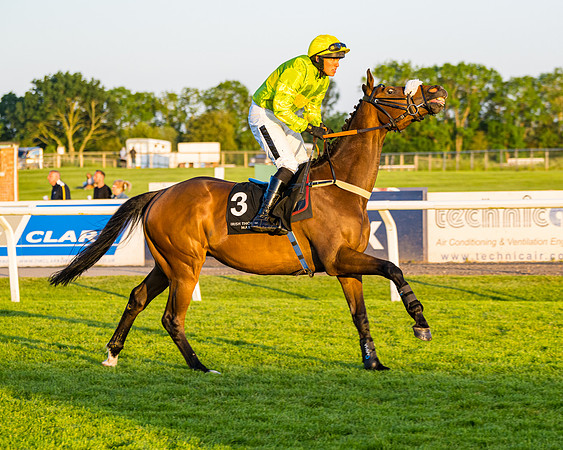 Race 7 - ITM NH Flat Race (46 of 197)