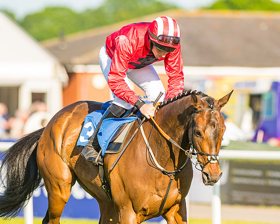 Race 3 - John Corbet Cup (34 of 127)