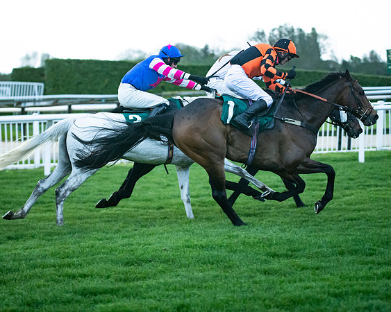 Race 7 - Gloucester Hussars Open  (72 of 154)