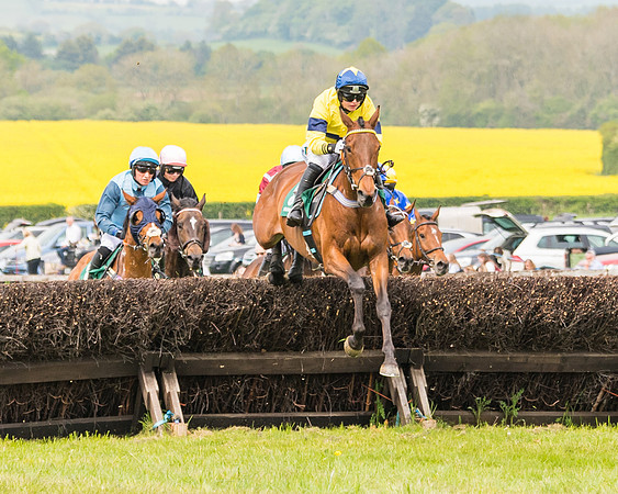Race 2 - Owner-Trainer Conditions  (76 of 208)