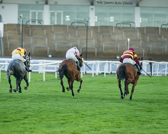 Race 5 - Mares Open  (160 of 329)
