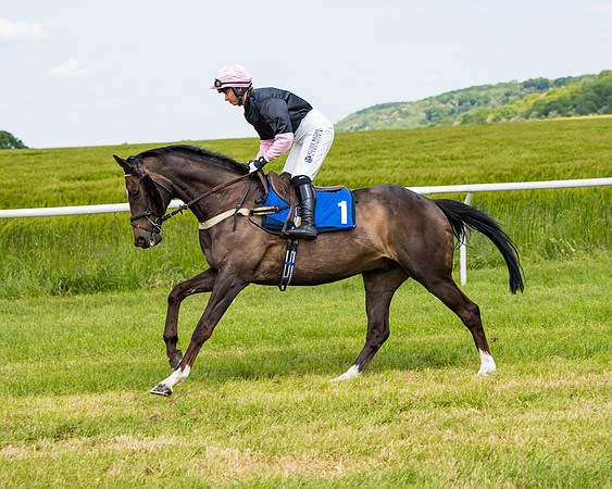 Race 1 - The Little Red owner Trainer conditions (111 of 345)